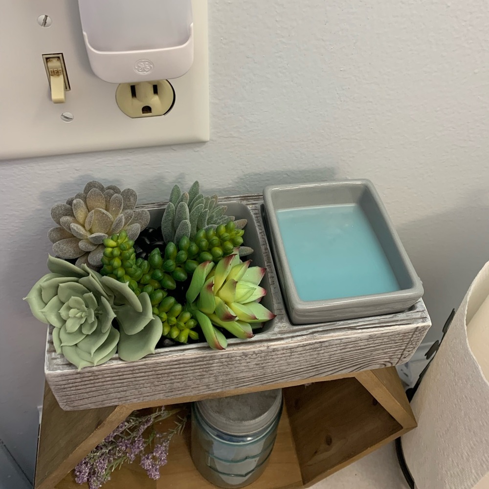 Scentsy Succulent warmer